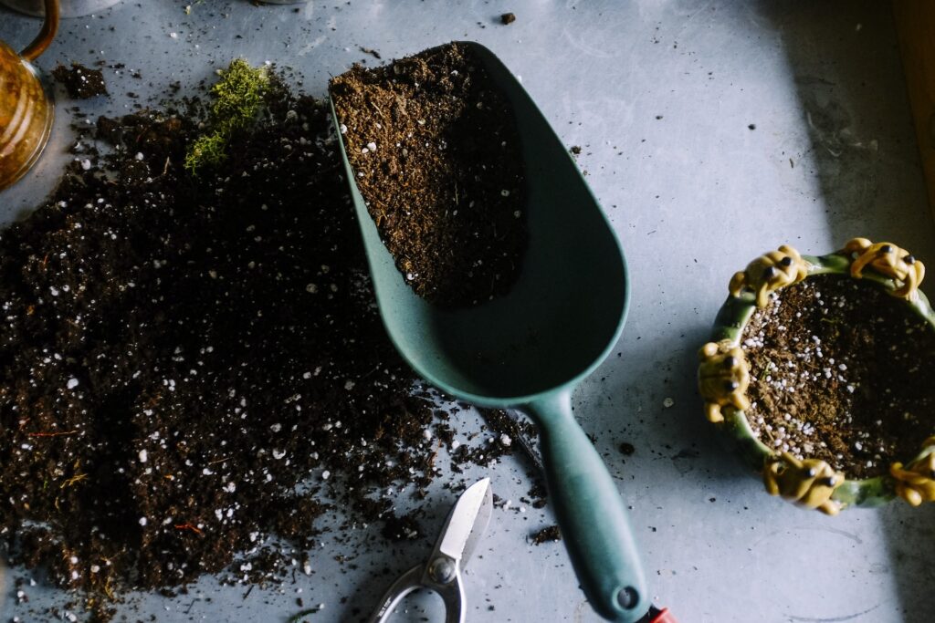 Photo d'outils de jardinage